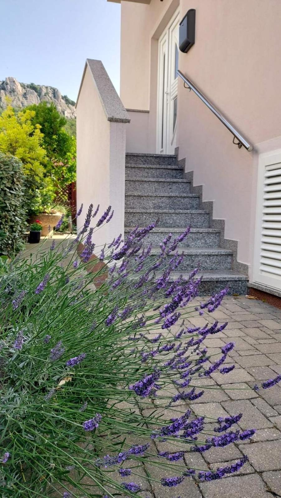 באסקה Apartment Pirun מראה חיצוני תמונה